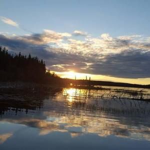 Meet your Posher, Joannie